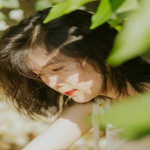 容晶辉